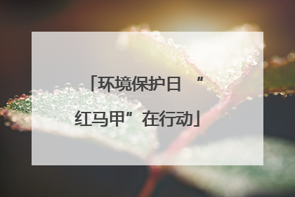 环境保护日 “红马甲”在行动