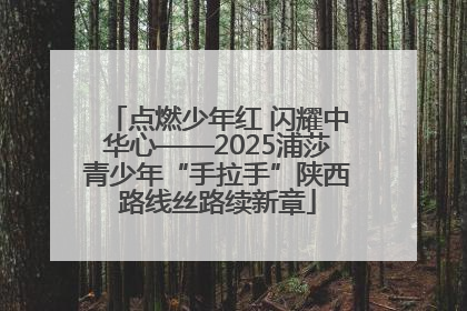 点燃少年红 闪耀中华心——2025浦莎青少年“手拉手”陕西路线丝路续新章