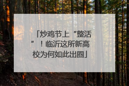 炒鸡节上“整活”！临沂这所新高校为何如此出圈