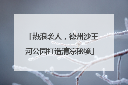 热浪袭人，德州沙王河公园打造清凉秘境