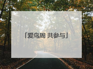 爱鸟周 共参与