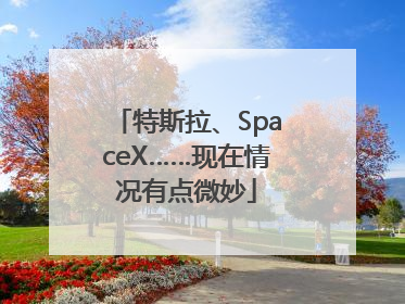 特斯拉、SpaceX……现在情况有点微妙