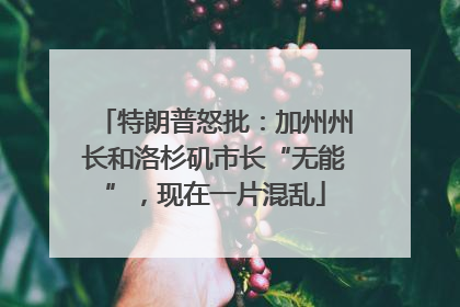 特朗普怒批：加州州长和洛杉矶市长“无能”，现在一片混乱