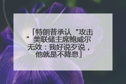 特朗普承认“攻击”美联储主席鲍威尔无效：我好说歹说，他就是不降息