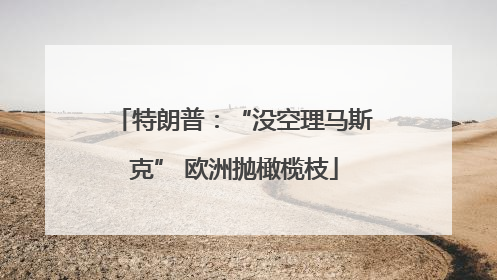 特朗普：“没空理马斯克” 欧洲抛橄榄枝