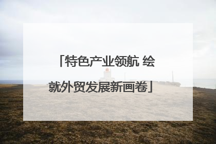 特色产业领航 绘就外贸发展新画卷