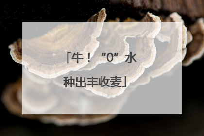 牛！“0”水种出丰收麦