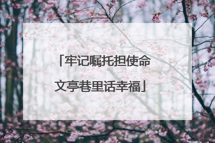 牢记嘱托担使命 文亭巷里话幸福