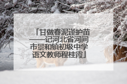 甘做春泥谨护苗——记河北省河间市景和镇初级中学语文教师程桂霞
