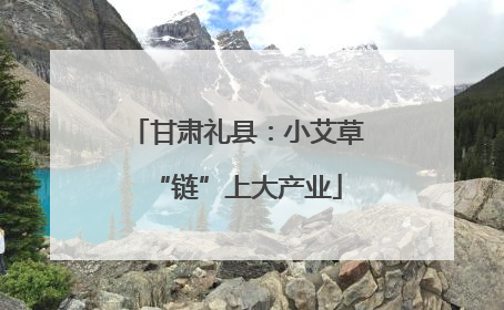 甘肃礼县：小艾草“链”上大产业