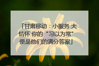 甘肃移动：小服务 大情怀 你的“习以为常”便是他们的满分答案