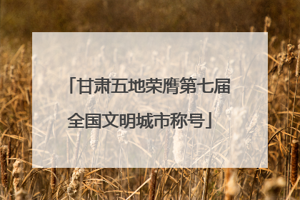 甘肃五地荣膺第七届全国文明城市称号