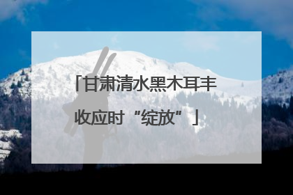甘肃清水黑木耳丰收应时“绽放”
