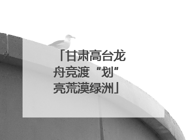 甘肃高台龙舟竞渡“划”亮荒漠绿洲