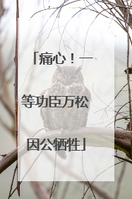 痛心！一等功臣万松因公牺牲