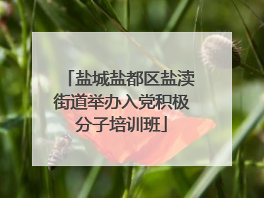 盐城盐都区盐渎街道举办入党积极分子培训班