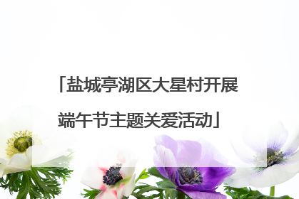 盐城亭湖区大星村开展端午节主题关爱活动
