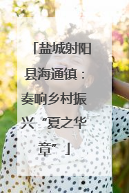 盐城射阳县海通镇：奏响乡村振兴“夏之华章”