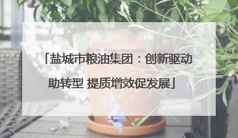 盐城市粮油集团：创新驱动助转型 提质增效促发展