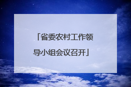 省委农村工作领导小组会议召开