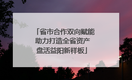 省市合作双向赋能 助力打造全省资产盘活益阳新样板