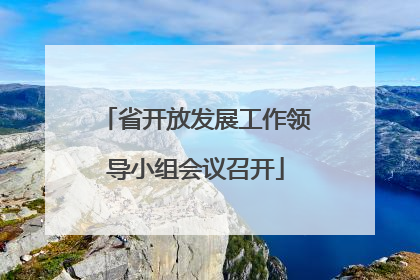 省开放发展工作领导小组会议召开