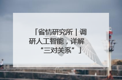 省情研究所｜调研人工智能，详解“三对关系”