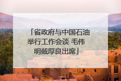 省政府与中国石油举行工作会谈 毛伟明戴厚良出席