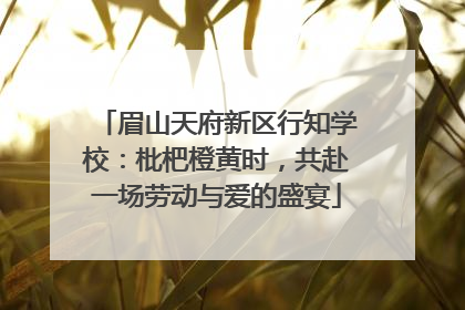 眉山天府新区行知学校：枇杷橙黄时，共赴一场劳动与爱的盛宴