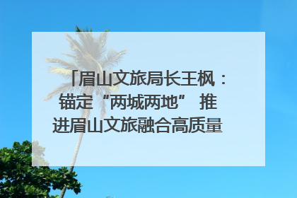 眉山文旅局长王枫：锚定“两城两地” 推进眉山文旅融合高质量发展｜文旅局长说