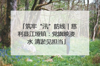筑牢“汛”防线｜慈利县江垭镇：党旗映溇水 清淤见担当