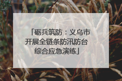 砺兵筑防：义乌市开展全链条防汛防台综合应急演练