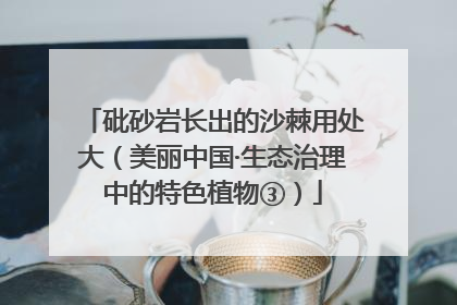 砒砂岩长出的沙棘用处大（美丽中国·生态治理中的特色植物③）