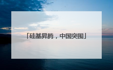 硅基昇腾，中国突围