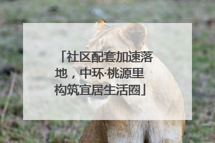 社区配套加速落地，中环·桃源里构筑宜居生活圈