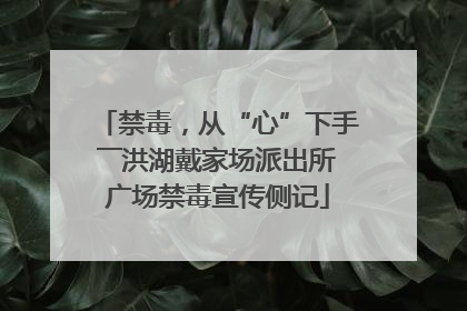 禁毒，从“心”下手――洪湖戴家场派出所广场禁毒宣传侧记