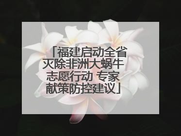 福建启动全省灭除非洲大蜗牛志愿行动 专家献策防控建议
