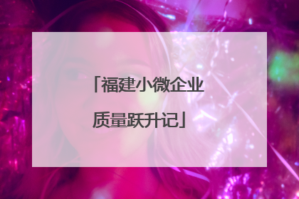 福建小微企业质量跃升记