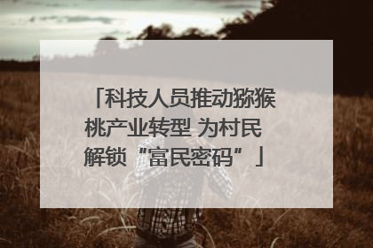 科技人员推动猕猴桃产业转型 为村民解锁“富民密码”