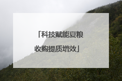 科技赋能夏粮收购提质增效