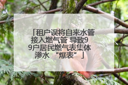 租户误将自来水管接入燃气管 导致99户居民燃气表集体渗水 “爆表”
