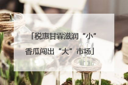 税惠甘霖滋润“小”香瓜闯出“大”市场