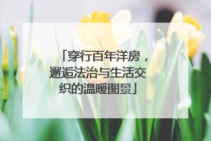 穿行百年洋房，邂逅法治与生活交织的温暖图景
