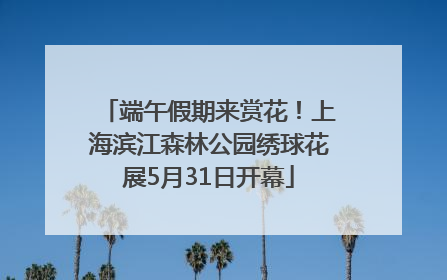 端午假期来赏花！上海滨江森林公园绣球花展5月31日开幕