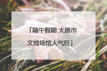 端午假期 太原市文博场馆人气旺