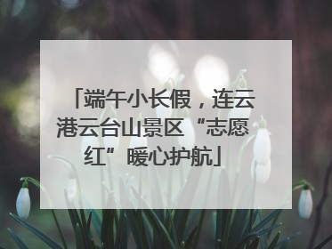 端午小长假，连云港云台山景区“志愿红”暖心护航