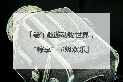 端午趣游动物世界，“粽享”量级欢乐