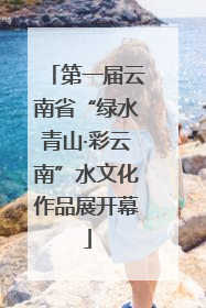 第一届云南省“绿水青山·彩云南”水文化作品展开幕