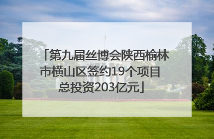 第九届丝博会陕西榆林市横山区签约19个项目 总投资203亿元