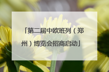 第二届中欧班列（郑州）博览会招商启动